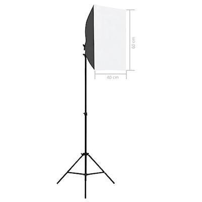 Professionele studiolampen 2 st 40x60 cm staal zwart Professionele studiolampen 2 st 40x60 cm staal zwart