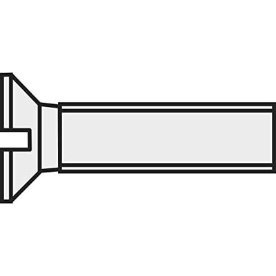 TOOLCRAFT 839956 Verzonken schroeven M3 30 mm Sleuf DIN 963 Kunststof, Polyamide 10 stuk(s)