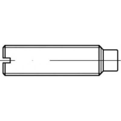 TOOLCRAFT TO-5435106 Draadpen M12 25 mm 50 stuk(s)
