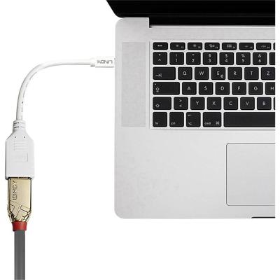 Lindy Kabel / Adapter mini-DP DP Wit kabeladapter/verloopstukje Lindy Kabel / Adapter mini-DP DP Wit kabeladapter/verloopstukje