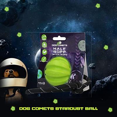 Dog Comets Ball Meteorite Groen met touw