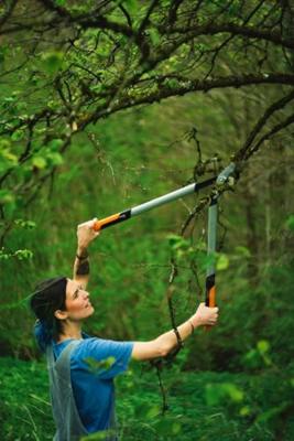FISKARS "powergeartm x" takkenscharen gearbox shears lx98-l - thumbnail