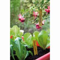 Plantetiket hout 10 cm 15 stuks - thumbnail