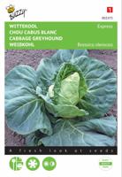 Zaden Wittekool Express Buzzy - Buzzy - thumbnail