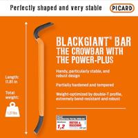 Picard 0004690-030 Nagelijzer BlackGiant ® Bar, 30 cm. - thumbnail