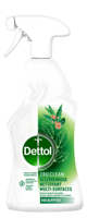 Dettol allesreiniger, eucalyptus, spray van 500 ml - thumbnail