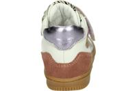 Develab 44388 - alle - thumbnail