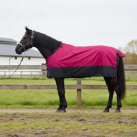 VidaXL Paardendeken roze en zwart 105 cm polyester - thumbnail