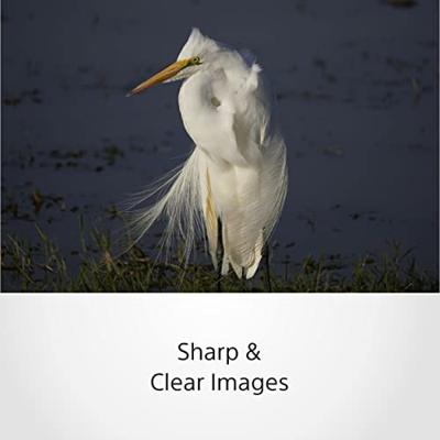 Sony E 70-350mm F/4.5-6.3 G OSS