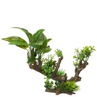 Aqua Della Flora Scape Aquarium Wortel - thumbnail