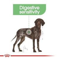 Royal Canin Maxi Digestive Care hondenvoer 2 x 12 kg - thumbnail