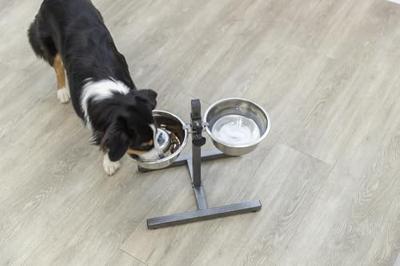 TRIXIE VOERSTANDAARD 1,8 L 20 CM - thumbnail