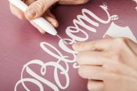 Pelkit voor snijplotter Cricut 2004233 - thumbnail
