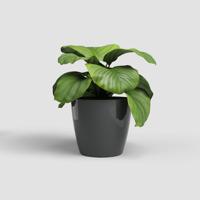 Pot - ARTEVASI - SAN REMO - 36 br - Antraciet - thumbnail