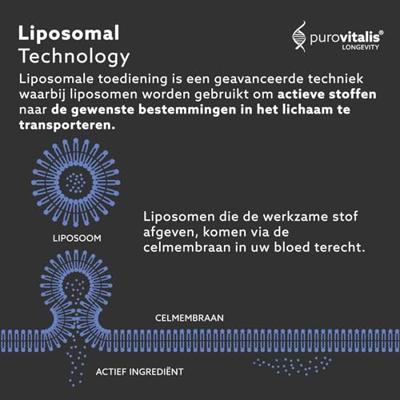 Purovitalis Liposomale Spermidine Fusion Capsules