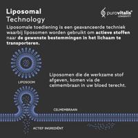 Purovitalis Liposomale Spermidine Fusion Capsules - thumbnail