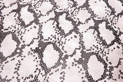 Extreme Buddydek cobra | peugeot speedfight 1 / 2