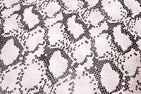 Extreme Buddydek cobra | peugeot speedfight 1 / 2 - thumbnail