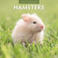 Hamster Kalender 2027 - thumbnail
