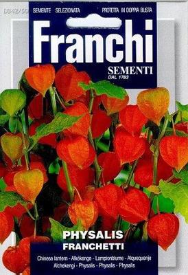 Lampionplant Physalis franchetti 342/50 zaden Franchi - Franchi Lampionplant Physalis franchetti 342/50 zaden Franchi - Franchi