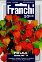 Lampionplant Physalis franchetti 342/50 zaden Franchi - Franchi - thumbnail