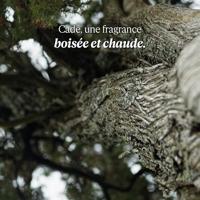 L&apos;Occitane Homme Cade After-Shave Balm 75 ml After Shave Heren - thumbnail