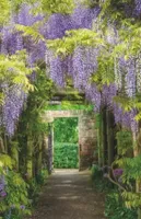 Alexsar Art Tuindoek wisteria tunnel 210x140cm - thumbnail