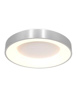 Steinhauer Plafondlamp Ringlede Ø 48 cm 2563 zilver Steinhauer Plafondlamp Ringlede Ø 48 cm 2563 zilver