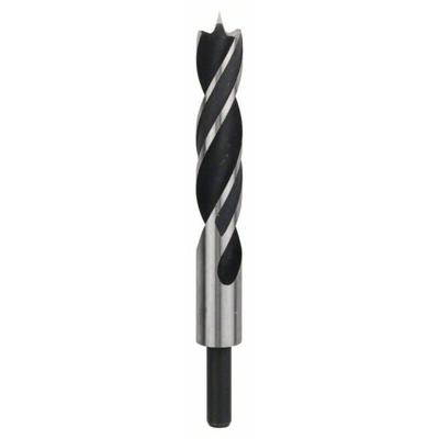Bosch Accessoires Houtspiraalboren Standard 24 x 140 x 215 mm, d 13 mm 1st - 2608597205