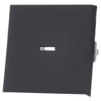 Gira wip met controlevenster E2 antraciet - thumbnail