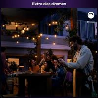 Philips LED-lamp 929004581801 Hue Festavia - thumbnail