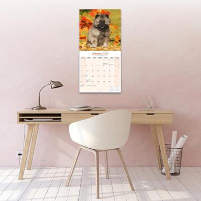 Keeshond Kalender 2026 Keeshond Kalender 2026