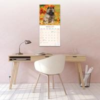 Keeshond Kalender 2026 - thumbnail