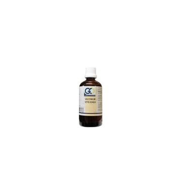 GO Vaccinum vitis idaea bio 100 Milliliter GO Vaccinum vitis idaea bio 100 Milliliter