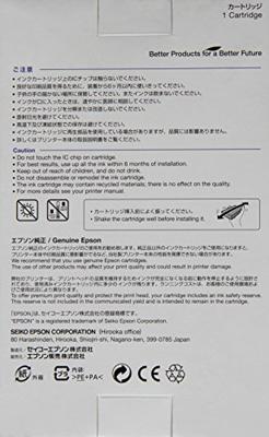 Epson Inktpatroon XL zwart T 755 T 7551