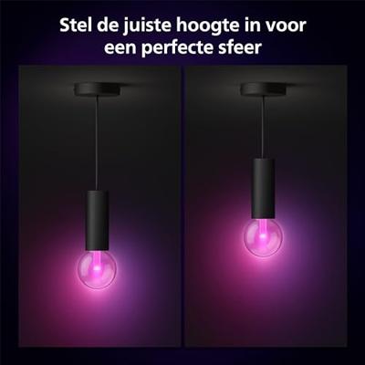 Philips Hue Lightguide Cord - 929003152101