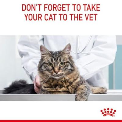 Royal Canin Appetite Control Care in Gravy (saus) natvoer kattenvoer zakjes 12 x 85 gram - thumbnail