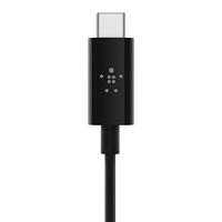Belkin RockStar 3,5 mm met USB-C-connector kabel - thumbnail