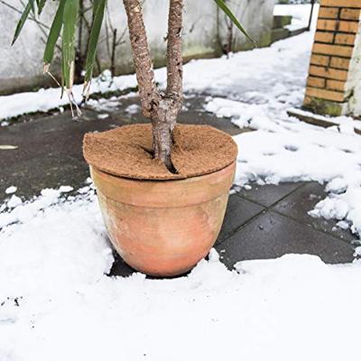 Connex Kokos-Schijf Isolerend D40Cm - FLOR80278