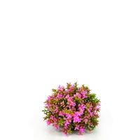BiOrb bloemenbal roze aquarium decoratie - thumbnail