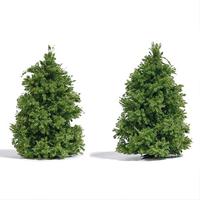 Busch 6122 Boom Lariks 60 tot 60 mm Groen 2 stuk(s) - thumbnail
