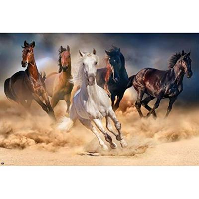 Poster Five Horses 91,5x61cm Poster Five Horses 91,5x61cm