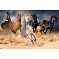 Poster Five Horses 91,5x61cm - thumbnail