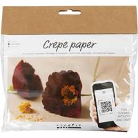 Creativ Company Mini hobbyset crepepapier klaprozen - thumbnail