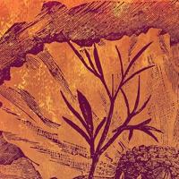 Noordwand Komar Ink Fotobehang Harvest - INX4-031 - thumbnail