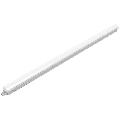 Philips LED ProjectLine Lamp voor vochtige ruimte LED 36 W Neutraalwit Wit Philips LED ProjectLine Lamp voor vochtige ruimte LED 36 W Neutraalwit Wit