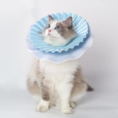 Aino Zachte beschermkraag voor grote kat of hondje - blauw - Maat L