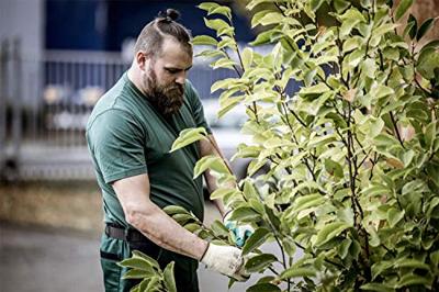 NITRAS SAFETY Nitras "motion tex light" t-shirt t-shirt gr. xl green nitras motion tex light