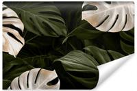 Fotobehang - Wit en groene monstera bladeren, premium print, inclusief behanglijm - thumbnail