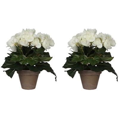 Mica Decorations kunstplant begonia 25cm wit